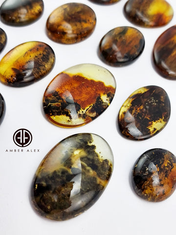 Fossil Amber Free Shape Cabochons