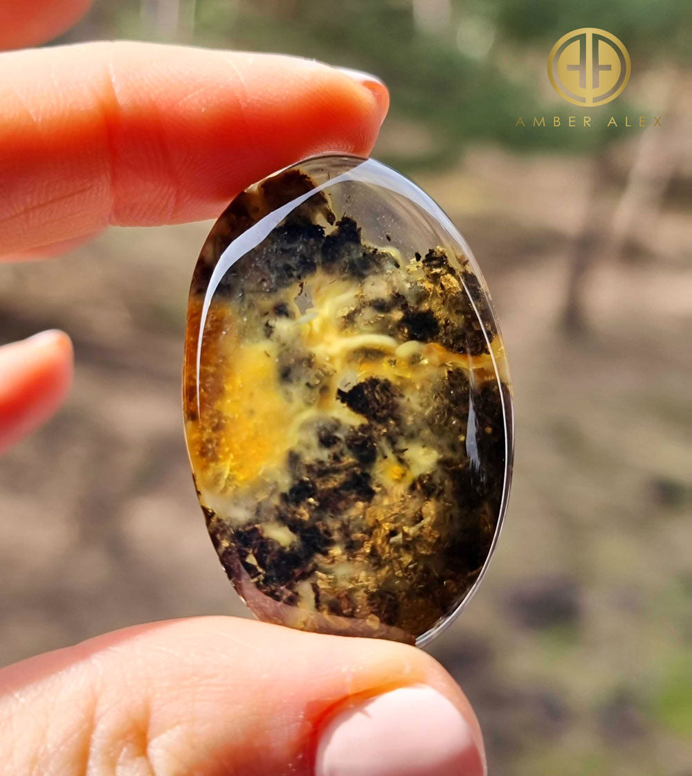 Fossil Amber Free Shape Cabochons