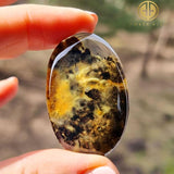 Fossil Amber Free Shape Cabochons