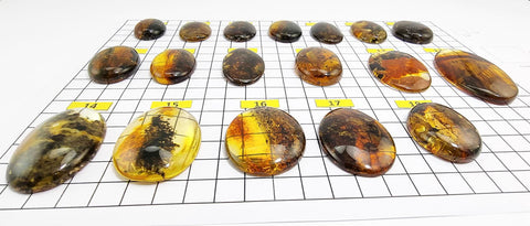 Fossil Amber Free Shape Cabochons