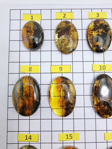 Fossil Amber Free Shape Cabochons