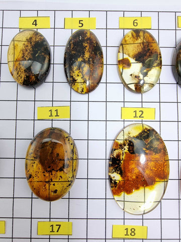 Fossil Amber Free Shape Cabochons