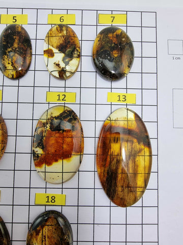 Fossil Amber Free Shape Cabochons