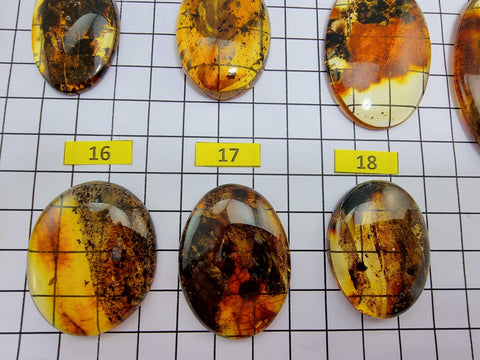 Fossil Amber Free Shape Cabochons