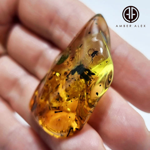 Natural Amber Wave Shape Stone With Insects