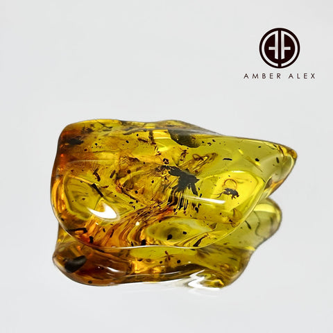 Natural Amber Wave Shape Stone With Insects