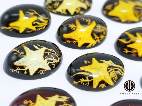 Cherry Amber Engraved Starfish Oval Shape Cabochon