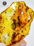 Natural Amber Slab Shape Stone With Insects