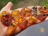 Cognac Amber Carved Spider Cabochons