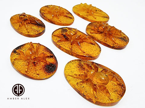 Cognac Amber Carved Spider Cabochons