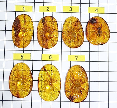 Cognac Amber Carved Spider Cabochons