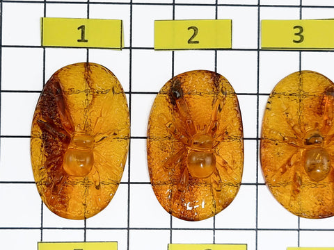 Cognac Amber Carved Spider Cabochons