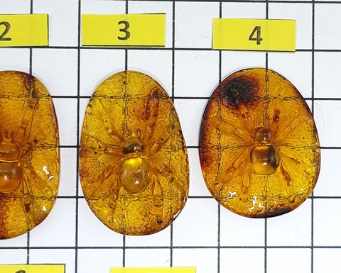 Cognac Amber Carved Spider Cabochons