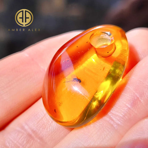 Cognac Amber Free Shape Stone With Insects