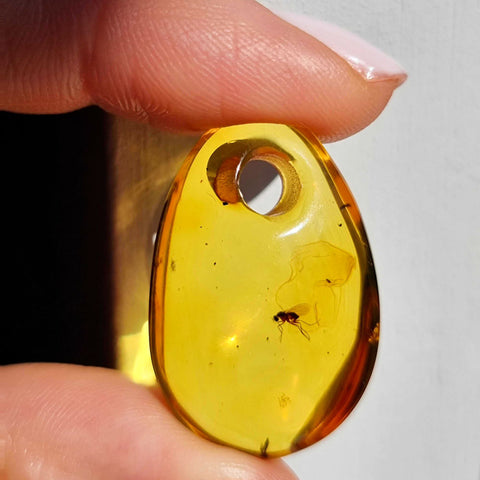 Cognac Amber Free Shape Stone With Insects