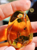 Cognac Amber Free Shape Stone With Insects