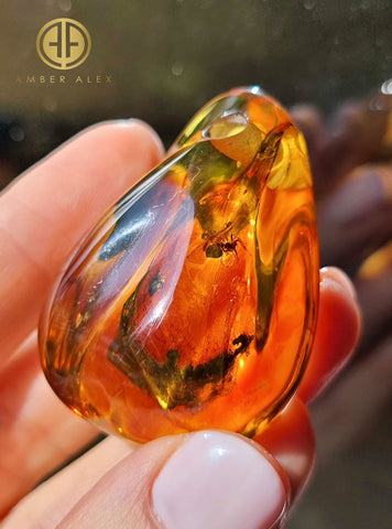 Cognac Amber Free Shape Stone With Insects