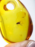 Cognac Amber Free Shape Stone With Insects