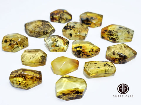 Fossil Amber Faceted Cut Shape Cabochons