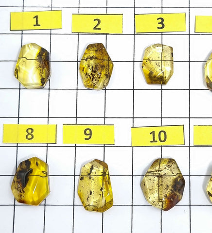 Fossil Amber Faceted Cut Shape Cabochons