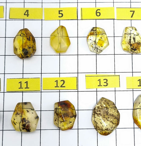 Fossil Amber Faceted Cut Shape Cabochons