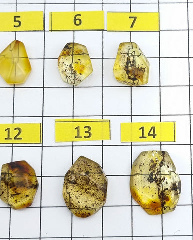 Fossil Amber Faceted Cut Shape Cabochons