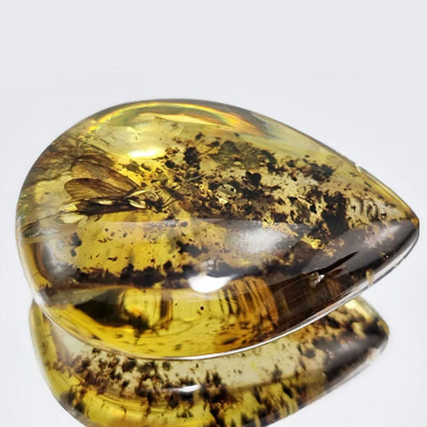 Fossil Amber Drop Shape Stone With Insects