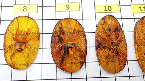 Cognac Amber Carved Spider Cabochons