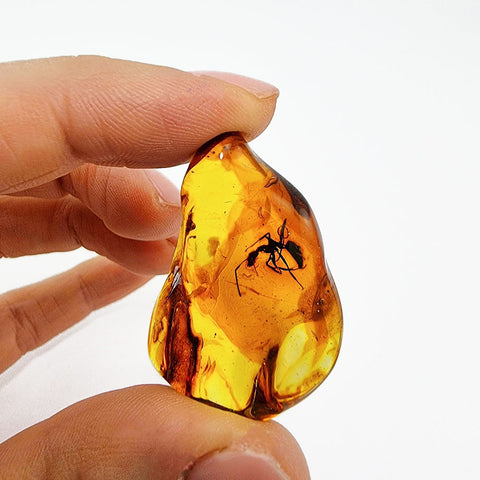 Natural Amber Wave Shape Stone With Insects