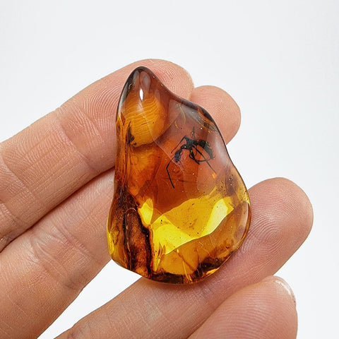 Natural Amber Wave Shape Stone With Insects