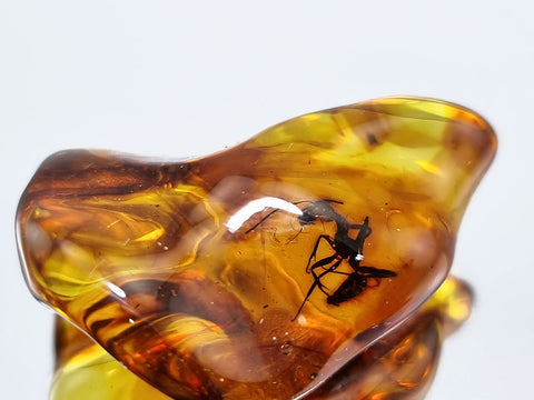 Natural Amber Wave Shape Stone With Insects