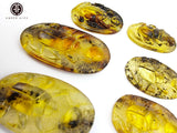 Fossil Amber Carved Scarab Cabochons