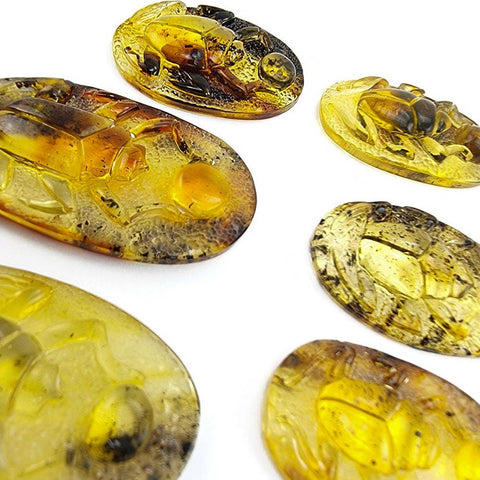 Fossil Amber Carved Scarab Cabochons