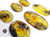 Fossil Amber Carved Scarab Cabochons