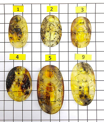 Fossil Amber Carved Scarab Cabochons