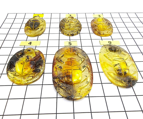 Fossil Amber Carved Scarab Cabochons