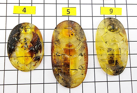 Fossil Amber Carved Scarab Cabochons