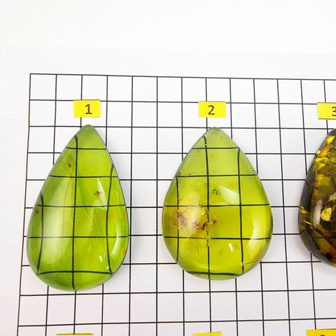 Green Drop Shape Cabochons With Insects