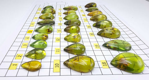 Green Amber Drop Shape Cabochons With Insects