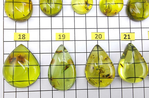 Green Amber Drop Shape Cabochons With Insects