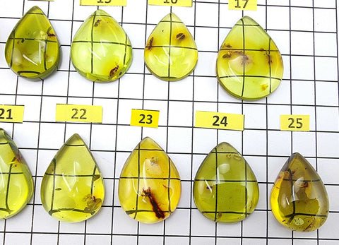 Green Amber Drop Shape Cabochons With Insects