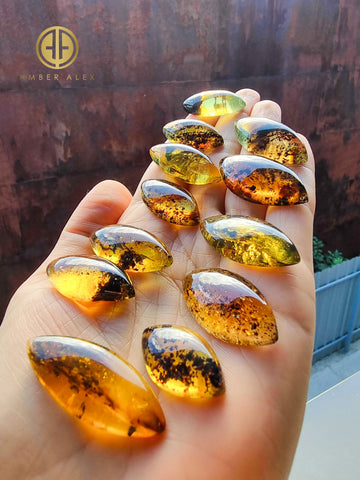 Fossil Amber Marquise Shape Cabochons