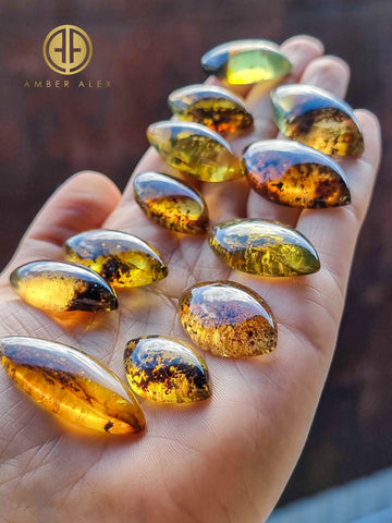 Fossil Amber Marquise Shape Cabochons