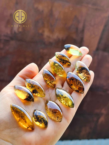 Fossil Amber Marquise Shape Cabochons