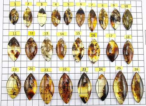 Fossil Amber Marquise Shape Cabochons