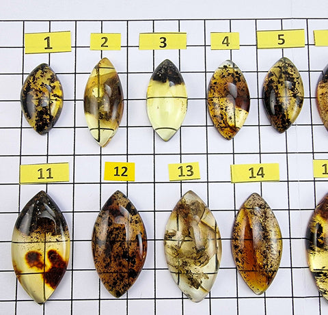 Fossil Amber Marquise Shape Cabochons