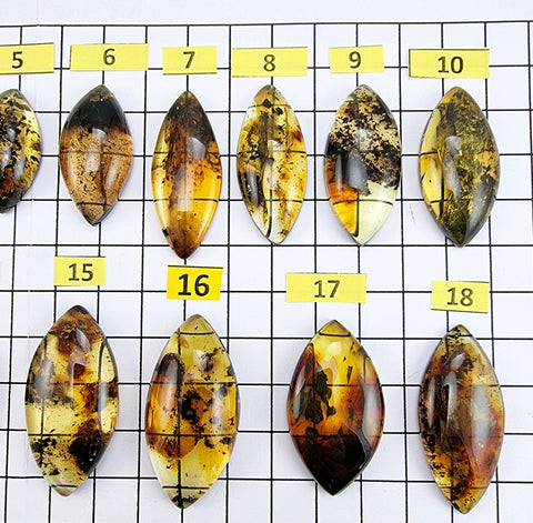 Fossil Amber Marquise Shape Cabochons