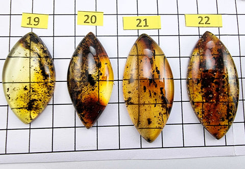 Fossil Amber Marquise Shape Cabochons