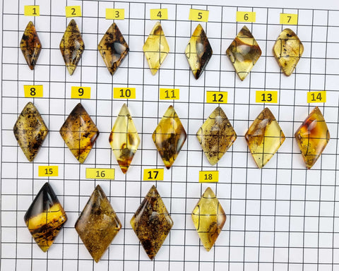 Fossil Amber Rhombus Shape Cabochons