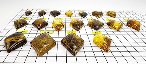 Fossil Amber Rhombus Shape Cabochons